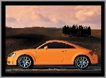 Lewy Profil, Pomarańczowe, Audi TT