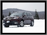 Śnieg, 4x4, Acura MDX, Ontario