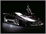 Karbon, Lamborghini Murcielago