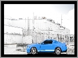 Mustang, GT 500, Błękitny, Shelby