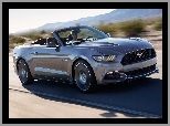 Ford Mustang, Convertible