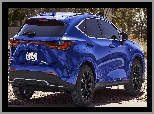 Lexus NX, Hybryda