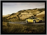 Droga, Żółte, Ferrari