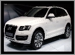 Pokaz, Białe, Audi Q5