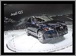 Prezentacja, Audi Q5, Wystawa