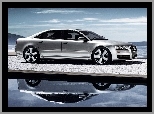 Profil, Audi A8 D4, Limuzyna
