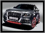 Audi Q5, Concept