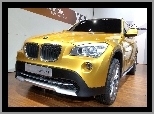 BMW X1, Salon, Car, Concept