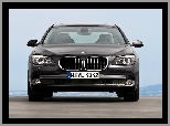 BMW seria 7 F01, Grill, Przód, Atrapa