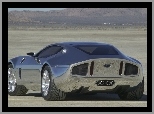 Ford GR-1, Shelby