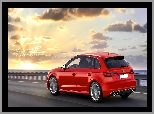 Sportback, Czerwone, Audi S3