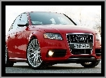Sportowy, Audi A4 B8, Samochód, Czerwony