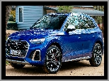 Audi SQ5, Niebieskie