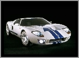 Ford GT, Super Bolid