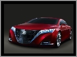Concept, Suzuki