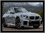 BMW M2 Coupe, Szare