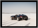 Testy, Jezioro, BMW 328 Concept, Wyschnięte