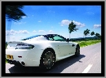 Trakcyjne, Aston Martin V8 Vantage, Właściwości