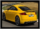 Audi TTS Coupe