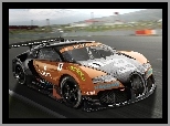 Veyron, Na torze, Wyścigowy, GTR