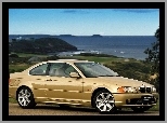 Złoty, BMW E 46